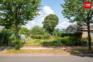 Perceel grond van 549m² in een rustige woonwijk met heel wat groen. Het centrum van Wondelgem is om de hoek: winkels en openbaar vervoer zijn in de nabijheid. Met de auto ben je snel op weg door de vlotte verbinding met de R4. Met de fiets ben je op een kleine 20 min in het centrum van Gent.
(verwijzingen naar bouwgrond zijn steeds indicatief. Voor het bebouwen van een grond dient u uiteraard te beschikken over een gunstig stedenbouwkundig advies.)