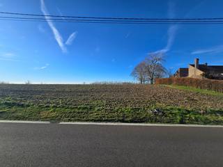 Land for sale in Tongeren-Borgloon