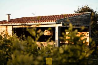 In een rustige, landelijke straat in Ichtegem bevindt zich deze <strong>recent gerenoveerde gezinswoning</strong> die charme en comfort perfect combineert. De woning werd volledig gestript en heringericht in een warme <strong>landelijke stijl met eigentijdse accenten en diverse leuke eye-catchers</strong>. <strong>Kwalitatieve natuurstenen tegels en parketvloeren</strong>, <strong>stijlvolle lambriseringen</strong> en <strong>zichtbare balken</strong> zorgen voor een unieke sfeer. Let ook op de grote glaspartijen die een perfect licht in de woning brengen. Een cosy nest op een heel rustige locatie. Binnen geniet je van <strong>twee</strong> <strong>heel mooie leefruimtes met gashaard</strong> en een ruime eethoek. De <strong>praktische keuken</strong> met blauwstenen werkblad sluit mooi aan op de leefruimtes en het terras, wat zorgt voor een heerlijk binnen-buitenleven. Op het gelijkvloers vind je bovendien een <strong>extra kamer</strong> die perfect kan dienen als <strong>slaapkamer, bureau of praktijkruimte</strong>. Boven bevinden zich <strong>twee slaapkamers </strong>– open tot in de nok met zichtbaar dakgebinte en een <strong>royale badkamer</strong> met inloopdouche, vrijstaand ovalen bad en dubbele lavabo. De <strong>volledig aangelegde en omheinde tuin</strong> met <strong>diverse terrassen, gras en plantenperken</strong> en de praktische – maar ook heel mooie – <strong>buitenberging met overdekt terras/porche</strong> is een echt paradijs — ideaal voor gezinnen met kinderen of huisdieren. Er is <strong>parking voor 3 à 4 wagens</strong>. De woning is bovendien heel rustig gelegen nabij het Wijnendalebos. Wandelaars en fietsers in de straat, weinig verkeer. 10 Minuten rijden van Torhout, een half uurtje van Brugge, een half uurtje van de kust, winkels en supermarkt op 7 minuten. <strong>Een karaktervolle, instapklare woning waar rust, charme en comfort samenkomen. </strong>Niet gelegen in een risicozone voor overstromingen. P-score : A. G-score : A. Deze woning wordt u aangeboden met een richtprijs. Elk voorstel, hetzij lager, gelijk aan of hoger dan deze richtprijs zal aan de eigenaars voorgelegd worden, die finaal zullen beslissen op welk voorstel ze wensen in te gaan. <br />