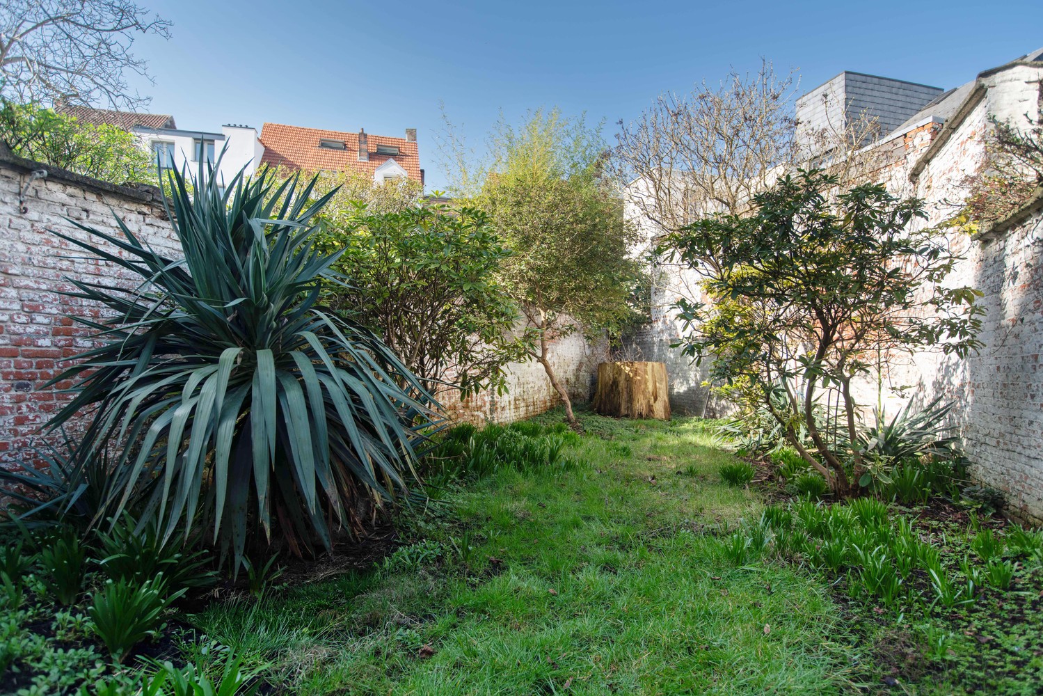 Maison de maître rénovée avec 4 chambres et un agréable jardin à Zurenborg - photo 2