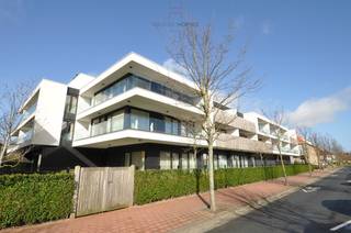 De Residentie Cypres is opgericht te midden het groen in de achtertuin van het cultureel centrum Scharpoord en vlakbij het centrum en de...