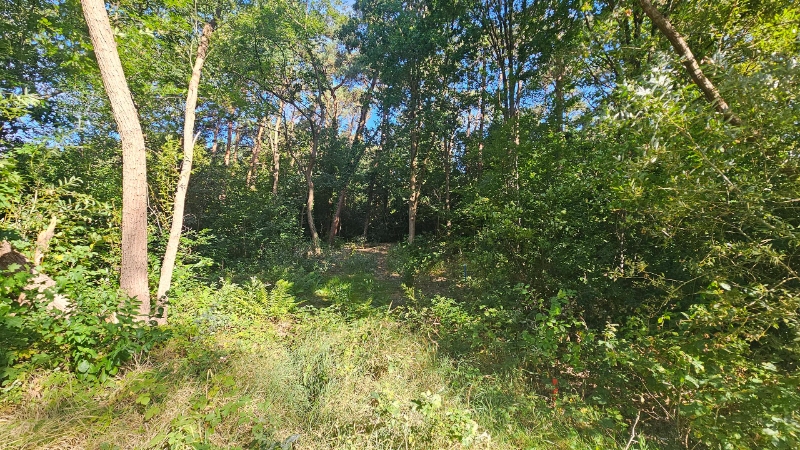 Perceel bouwgrond van 7a02ca voor open bebouwing - foto 4