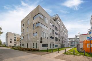 <p>Deze uiterst comfortabele nieuwbouwstudio maakt deel uit van ‘Campus nieuw Zuid (bouwjaar 2016), een moderne studentenresidentie met duurzame afwerking. De locatie is ideaal voor studenten: midden in de nieuwe, groene stadsbuurt Nieuw Zuid, vlakbij Karel De Grote hogeschool Campus Zuid en op een boogscheut van alle grote stadscampussen. Hier woon je aan het hippe Antwerpse Zuid, tussen de Schelde en een groot park. Campus Nieuw Zuid ligt ook vlakbij belangrijke invalswegen, velo-stations, tram- en bushaltes en station Zuid.</p>
<p>De studentenstudio heeft een eigen kookhoek met spoelbak en koelkast met vriesvak. De privé badkamer is uitgerust met wastafel, douche en toilet. Per verdieping zijn er ook 2 gemeenschappelijke afgesloten keukens vooorzien, volledig uitgerust met alle toestellen en voorzieningen. De studio is gemeubeld met bed, bureau, bureaustoel, kast en eettafel met stoelen, verduisterende gordijnen. Het gebouw is uitgerust met een veilig toegangssysteem met badge, een gemeenschappelijke tuin, terras en een fietsenberging. Dit is een stabiele investering met hoog rendement.<br /><br />Deze studio is voor 12 maanden verhuurd voor 415 euro per maand.<br />Gemeenschappelijke kosten: 80 € incl internet, tv en alle nutsvoorzieningen.<br /><br />Voor meer informatie, contacteer Ellen op 0474 84 54 29 of ellen@reds.be</p>
<p><strong> </strong></p>