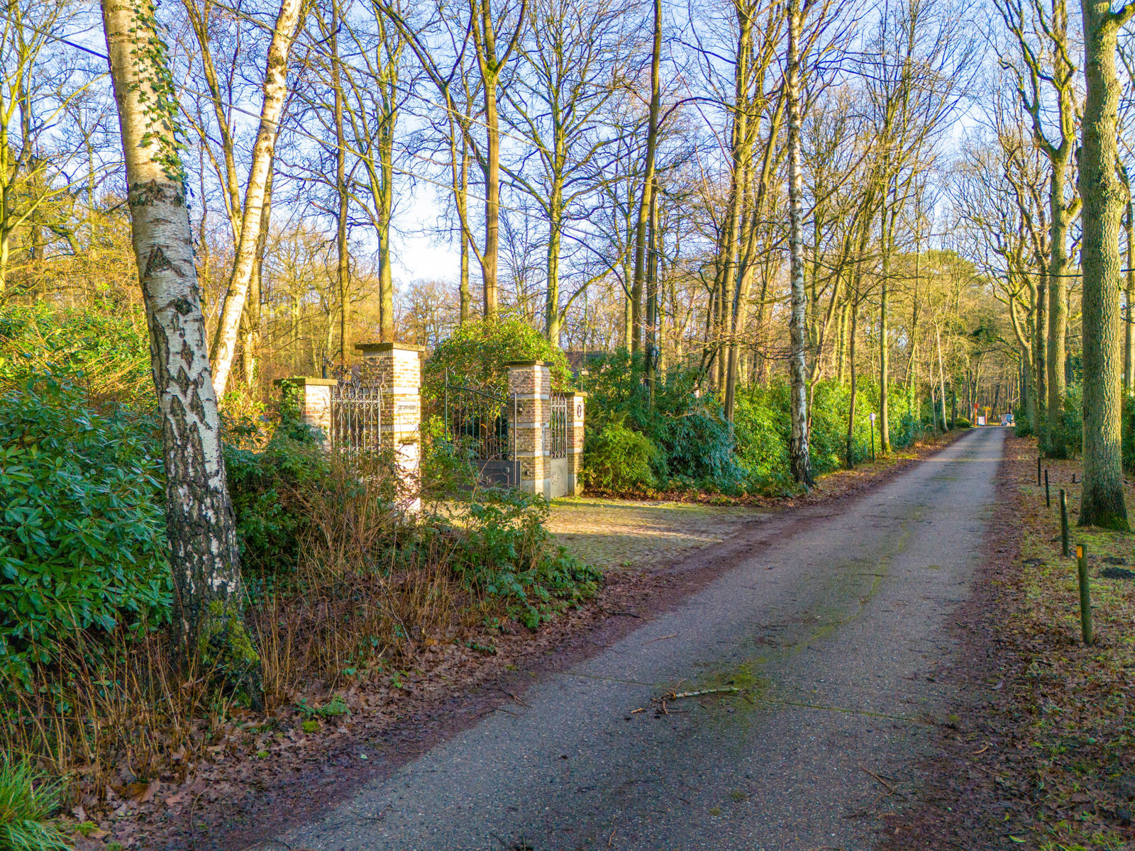 Villa op een perceel van 7.887 m² grenzend aan het Peerdsbos. - foto 5