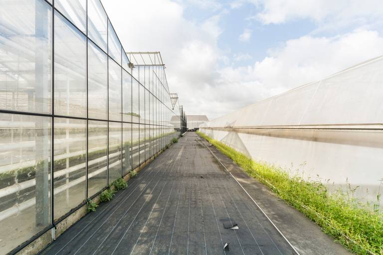 Welgelegen serrecomplex, ideaal voor agrarische activiteiten - foto 20