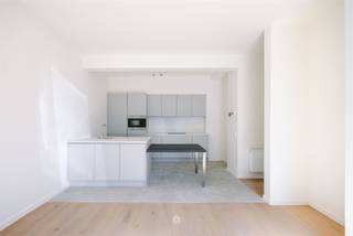 <p><span>OUDENAARDE</span><span> - Bent u op zoek naar een gelijkvloers appartement met 2 slaapkamers en garagebox? </span></p><p><span>Dan is dit zeker iets voor u! </span></p><p><span> </span></p><p><span>De belangrijkste troeven in een notendop: </span></p><p><span> </span></p><ul><li><span>AANKOOP ONDER REGISTRATIERECHTEN</span></li><li><span>Residentiële locatie op wandel- en fietsafstand van </span><span>centrum Oudenaarde </span></li><li><span>Vlakbij scholen en openbaar vervoer</span></li><li><span>Volledige renovatie (2024) - EPC B - trendy look&feel</span></li><li><span>Kleine residentie met </span><span>12 appartementen </span></li><li><span>Twee ruime slaapkamers</span></li><li><span>Grote</span><span> raampartijen </span></li><li><span>Garagebox met automatische poort </span><span>inbegrepen in de prijs.</span></li><li><span>Ideaal als investering</span></li></ul><p><span> </span></p><p><span>Zo ziet het appartement eruit: </span></p><p><span> </span></p><p><span>Dit appartement is gelegen op het gelijkvloers en ziet er als volgt uit: de ruime inkomhal met plaats voor een vestiaire, de lichtrijke leefruimte en open keuken met eiland, volledig uitgerust met alle moderne voorzieningen (vaatwas, inductie kookplaten en dampkap, koelkast, diepvriezer, oven). Twee ruime slaapkamers en de badkamer voorzien van een grote inloopdouche, een wastafel en een toilet. Verder de berging/wasplaats in het appartement zelf en een kelderberging. Een garagebox met automatische poort is inbegrepen in de prijs.</span></p><p><span> </span></p><p><span>Belangrijk:</span></p><p><span>Richtprijs: 235.000 euro </span></p><p><span> </span></p><p><span> </span></p><p><span> </span></p>