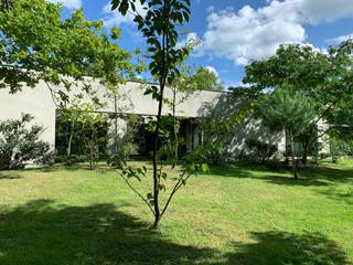 <strong>Architecturale laagbouwvilla met binnenzwembad en unieke beleving met het omliggende landschap.</strong><br /> <br /><em>Voor meer informatie, mail naar <u><span>info@carloeggermont.be</span></u></em><br /> <br />Een bijzondere plek (2.458 m<sup>2</sup> grondopp.) die plaats geeft aan een even bijzondere woning (290 m<sup>2</sup> bvo), ontworpen door Element Architecten. <br /><br />“Less is more” – een welgekende visie waar de architecten in samenspraak met de bewoners een duidelijk concept hebben neergezet. Een visie waar minimalisme in combinatie met een doordacht materiaalgebruik, een merkwaardige connectie tussen de verschillende ruimtelijkheden en de omliggende natuur zorgen voor een uitgepuurde balans tussen soberheid, toch met een duidelijke identiteit.<br /><br />Deze laagbouwvilla werd opgevat als een uniform en massief, balkvormig volume waarbij doordachte uitsnijdingen unieke ervaringen met zich meebregen. Deze zorgen ervoor dat de verschillende ruimtes zowel van elkaar worden afgescheiden alsook op een subtiele manier met elkaar verbinding behouden.<br /><br />Deze architecturale ingrepen werden met dezelfde zorg doorgetrokken om de bijzondere omgeving maximaal te ervaren. Het resultaat is een subtiele symbiose, waarbij het licht en de zichten worden versterkt door de plafondhoge ramen tussen patio’s en tuin, waardoor een voortdurende verbinding tussen binnen en buiten ontstaat.<br /><br />Een hoge hagenrij en een majesteuze poort zorgen voor een uiterst privatief beleving van het perceel. Achter deze indrukwekkende toegangspoort is er plaats voor de wagen en krijgen we een eerste glimps van het monolitisch karakter van de woning.<br /><br />Indeling van de woning:
<ul>
<li>Inkomhal voorzien van vestiaire, berging en gastentoilet</li>
<li>Polyvalente ruimte met aan beide zijden 2 atelierruimtes (mogelijkheid tot slaapkamer)</li>
<li>Ruime leefruimte met eetplaats</li>
<li>Open keuken</li>
<li>Master slaapkamer met dressing en wastafel</li>
<li>Tweede toilet</li>
<li>Binnenzwembad</li>
<li>Badkamer voorzien van wastafel en douche</li>
</ul>
<br />Dankzij het hoogwaardige en uiterst minutieus ontworpen maatwerk vloeien de verschillende ruimtes naadloos in elkaar over, waarbij de ruimtelijke invulling en de beleving van de omgeving telkens unieke impressies met zich meebrengen.<br /><br />Een volwassen tuin waarin oude bomen en nieuwe beplanting een perfecte harmonie vormen met de vijver. Door het aflopende terrein richting de vijver ontvouwt de tuin zich in al haar perspectieven, telkens opnieuw te ervaren doorheen de dag en de seizoenen.<br /><br /><strong>Een uniqum voor wie architectuur, esthetiek en poëzie hoog in het vaandel draagt. </strong><br /><strong>Kortom, een uitzonderlijke opportuniteit voor wie op zoek is naar een architecturale woning met binnenzwembad en prachtige tuin op een boogscheut van Gent.</strong>