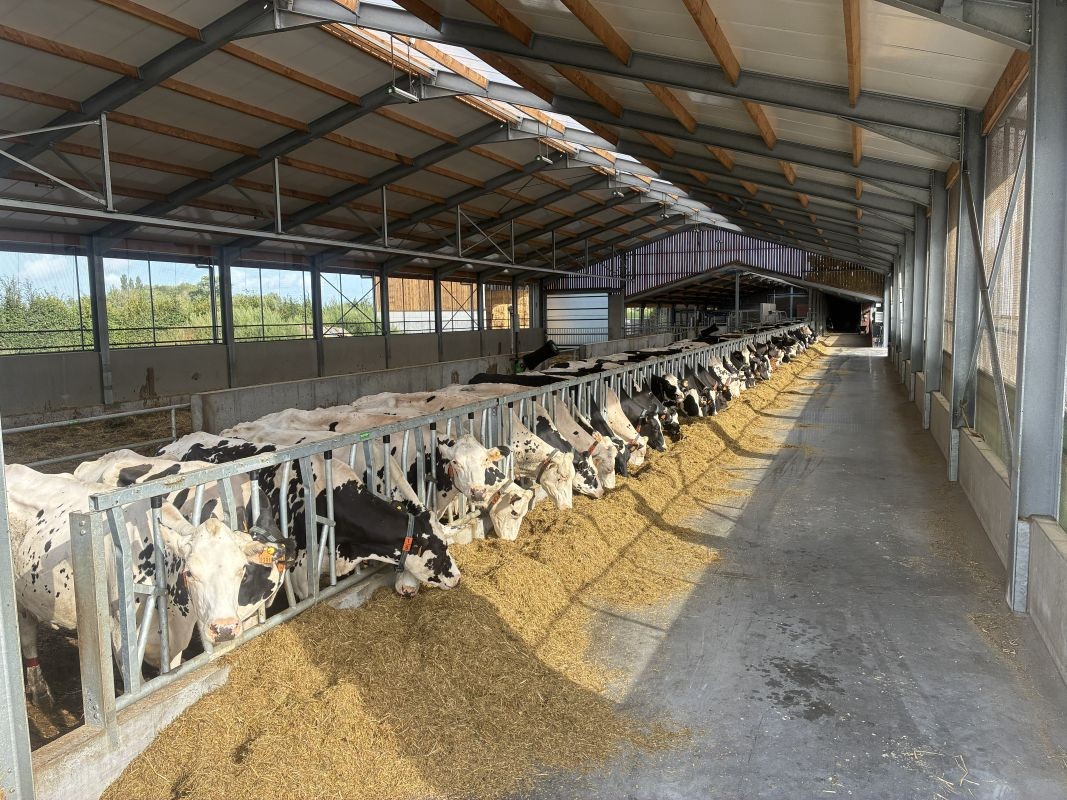 Prachtig melkveebedrijf met vakantiewoningen te koop te Koekelare - Bovekerke - foto 5