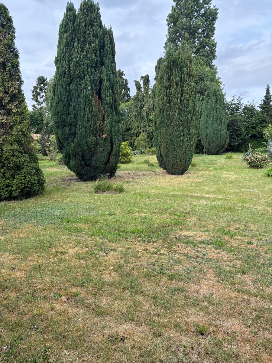 Bouwgrond 639m² - foto 5