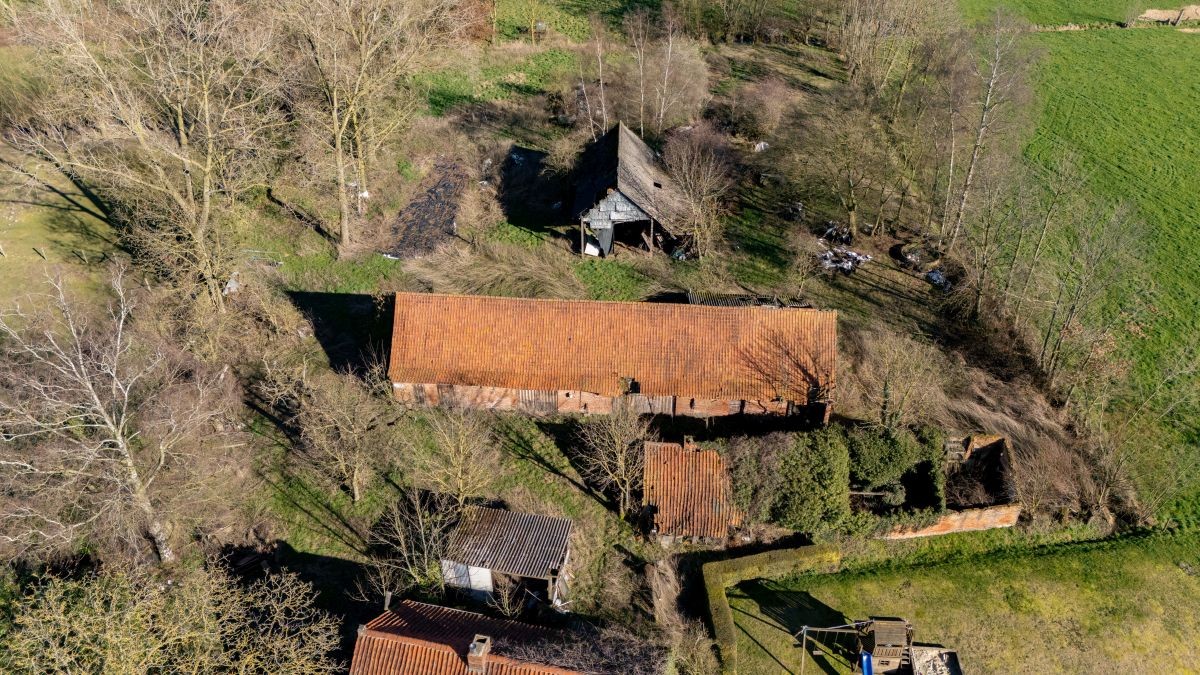 Te verbouwen hoeve met grond te koop te Sint-Niklaas - foto 4