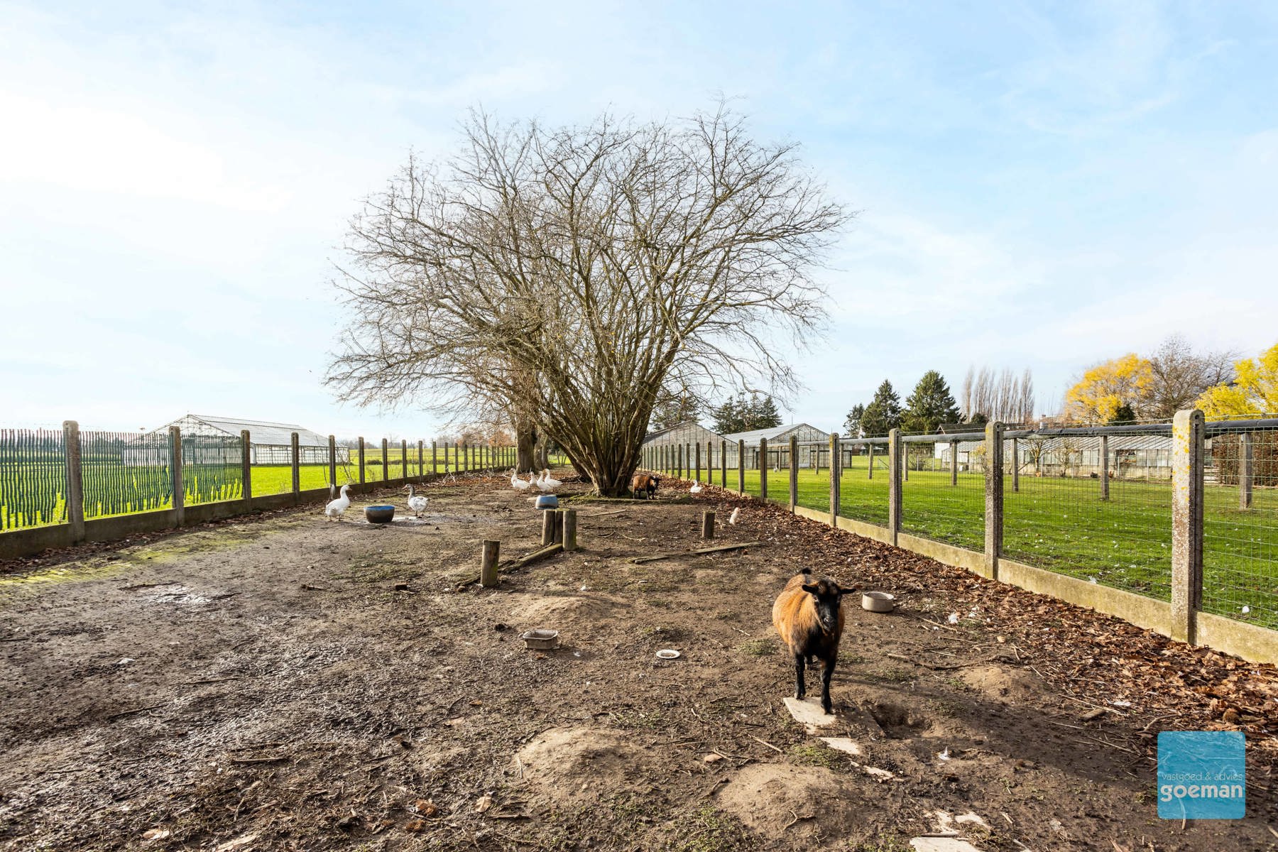 Landelijke woning op perceel van 15are te Moorsel - foto 2