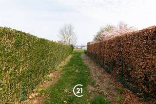 <p>Droomt u van wonen in alle rust en omringd door de natuur? Dan is deze bouwgrond in de Lorkendreef te Kruisem precies wat je zoekt.</p><p>Gelegen op een steenworp van het prachtige Lozerbos geniet u hier dagelijks van een unieke, groene omgeving.</p><p>Het perceel heeft een royale oppervlakte van maar liefst 1951m² en is bereikbaar via een lange privatieve oprijlaan van ca. 36m lang, wat privacy en exclusiviteit creëert.</p><p>Hier krijgt u de kans een open bebouwing te realiseren, bestaande uit maximaal één bouwlaag en een plat dak.<br />Bouwvoorschriften:<br /> - Kroonlijsthoogte: 3m<br /> - Maximaal toegelaten bebouwde oppervlakte: 250m²<br /> - Carport mogelijk<br /> - Alle verhardingen en niet-overdekte constructies dienen zich binnen de voorziene bouwzone te bevinden.</p><p>Heeft u interesse in deze unieke opportuniteit? Neem vandaag nog contact met ons op voor meer informatie!</p>