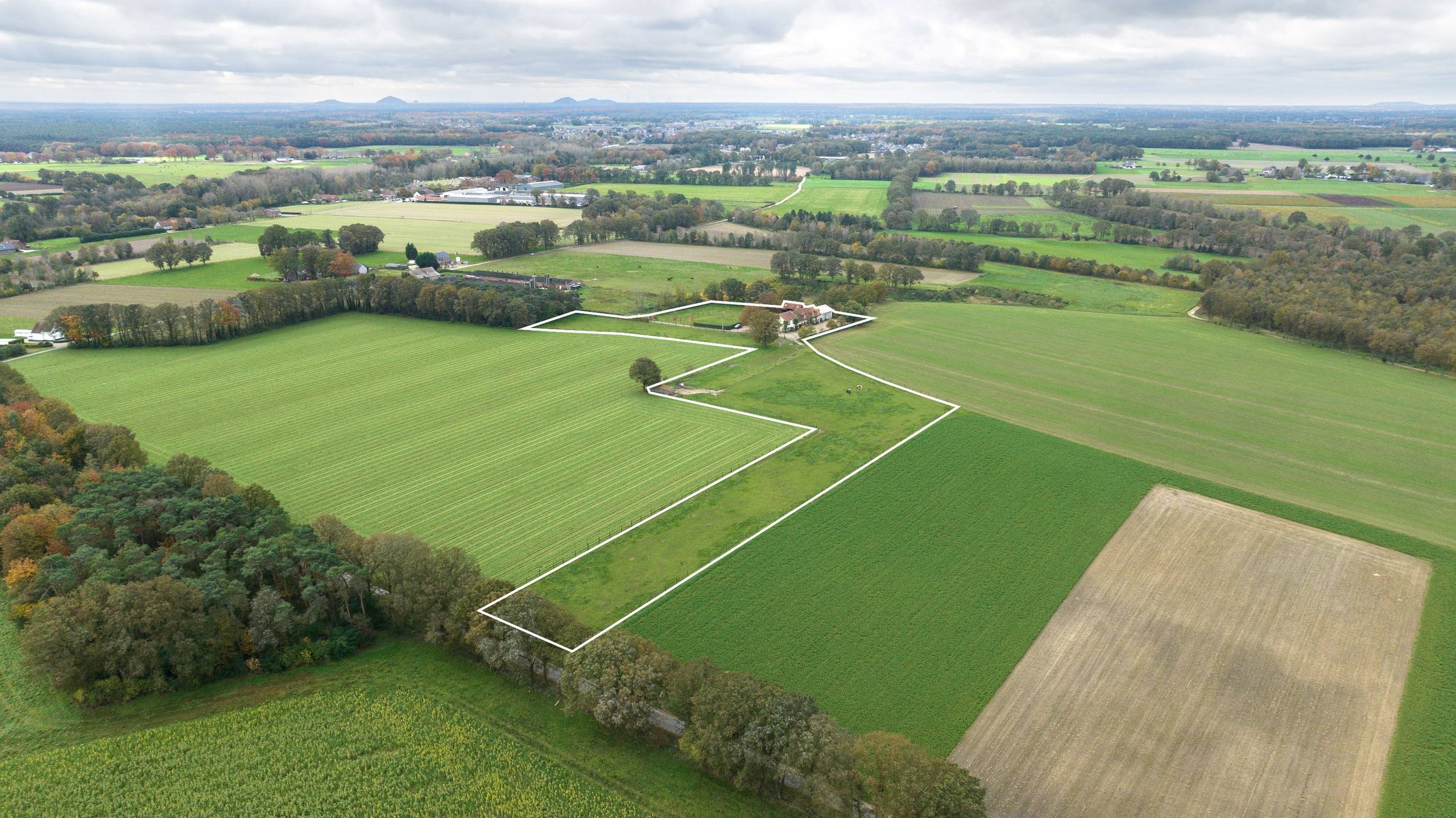 Hippische villa op een perceel van 2.05ha - foto 5