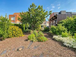 GOED ONDERHOUDEN halfopen bebouwing in een RUSTIGE straat vlak bij het CENTRUM van Oudenaarde. De woning biedt een VERRASSEND RUIME indeling met...