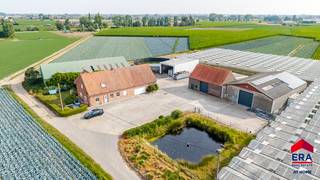 <strong>Woonst (192m² woning + 85m² aanpalende garage/berging)</strong><br />Gelijkvloers: inkom, living, keuken met zithoek, wasruimte, badkamer, berging, slaapkamer en apart toilet.<br />Eerste verdiep: 4 slaapkamers + nog in te richten open ruimte<br /><br /><strong>loods 1</strong>: 15*40= 600m² - drijfkracht<br /><strong>loods 2:</strong> 18*17= 136m² - betonvloer, drijfkracht, geïsoleerd<br /><strong>schuur + afdak</strong>: 18*13= 234m² - betonvloer, drijfkracht, geïsoleerd<br /><strong>loods 3:</strong> 20*14= 280m² - betonvloer, betonloods, drijfkracht, water, geïsoleerd<br /><br /><strong>Troeven:</strong>
<ul><li>uniek verzicht rondom</li><li>oprit tot aan woonst 200m lang</li><li>groot middenplein</li><li>2 regenputten voorzien van elk 10.000l</li></ul>
<br />Mogelijkheid om<br />4,9ha landbouwgrond bij te kopen aan 102.000 euro/ha<br />+ 3,3 ha landbouwgrond bij te kopen aan 106.000 euro/ha<br />(samen 8,2 ha mogelijk bij te kopen) <br />functiewijziging naar residentiele bewoning in aanvraag.<br />grote waterput voorzien in landbouwgrond( 50 op 50m)<br />