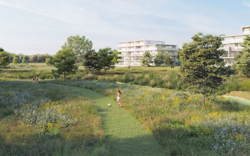 Land for sale in Tielt - photo 3