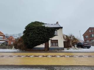 Terrain à vendre à Lubbeek