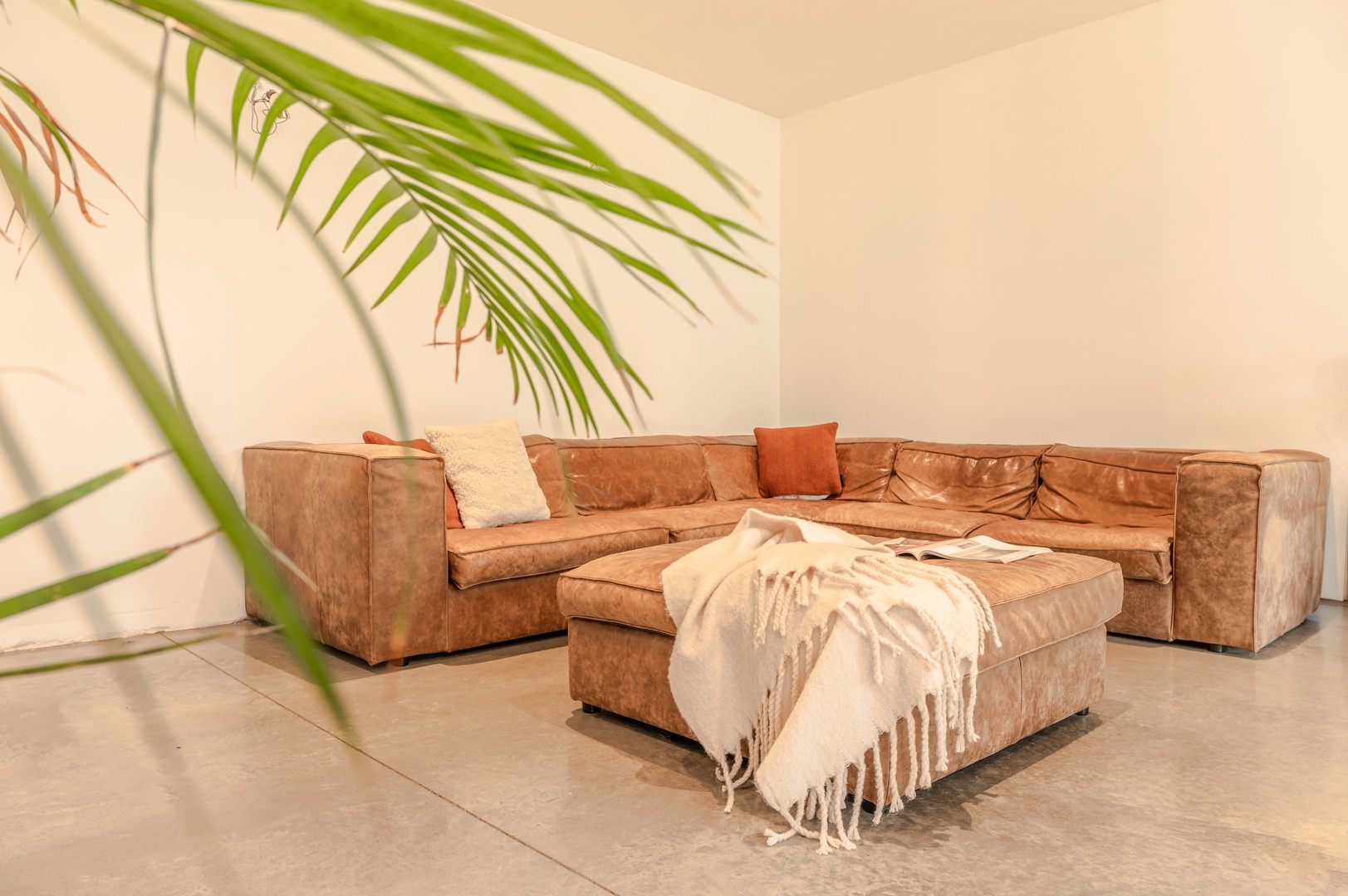 OPENDEUR 24/1 tussen 11u30 en 13u. - photo 4