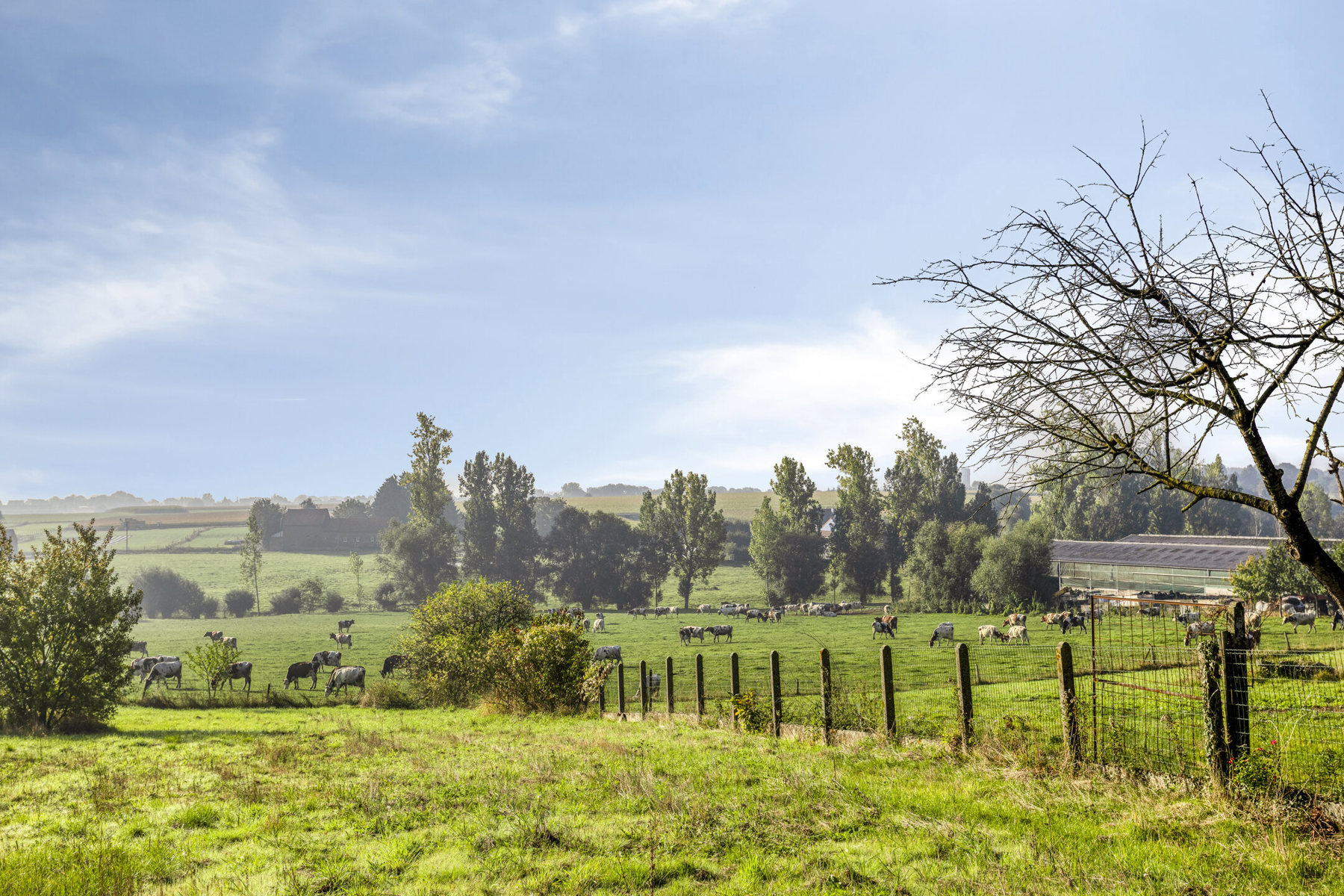 House for sale in Sint-Pieters-Leeuw with 2 bedrooms - photo 5