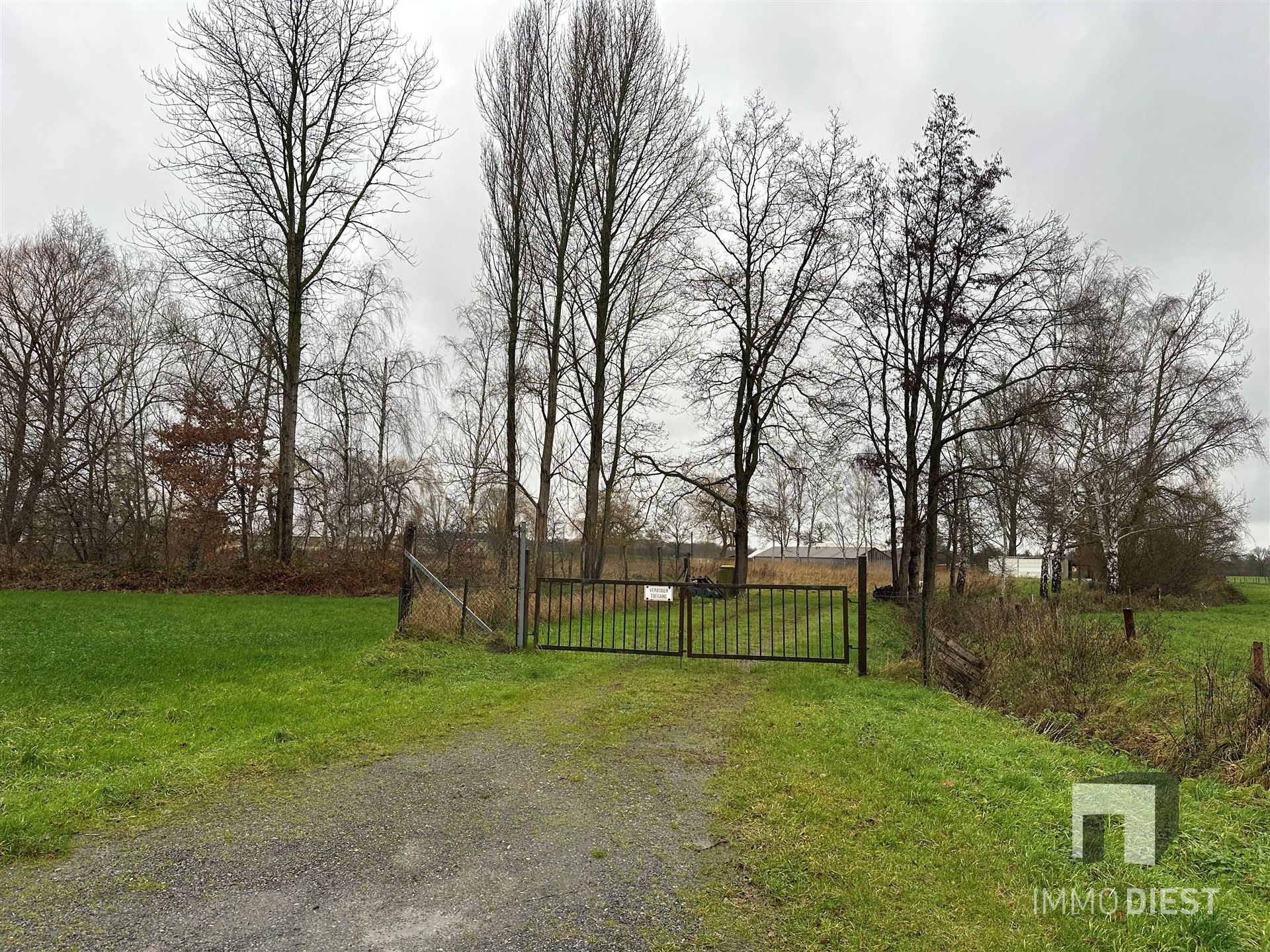 Weide - foto 5