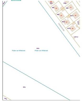 Large meadow for sale of approximately 4.2 hectares in 2830 Willlebroek.