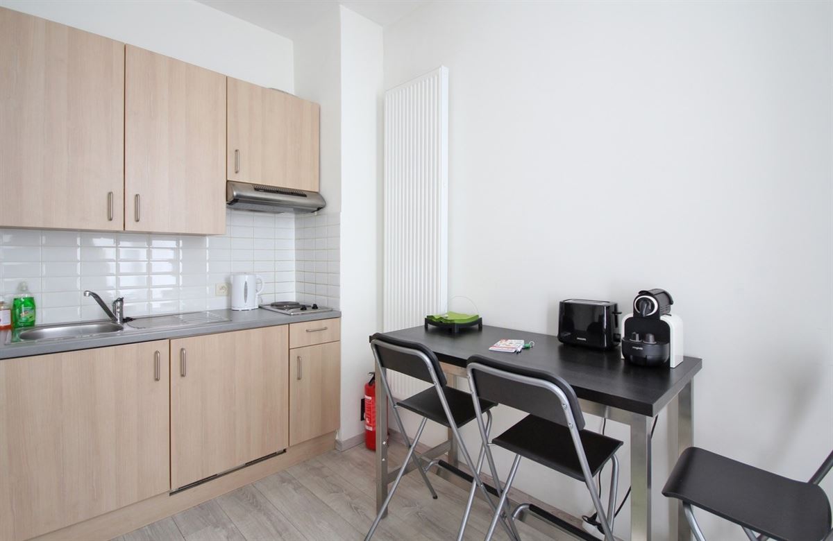 Compact stadsappartement met Airbnb-vergunning  - foto 3