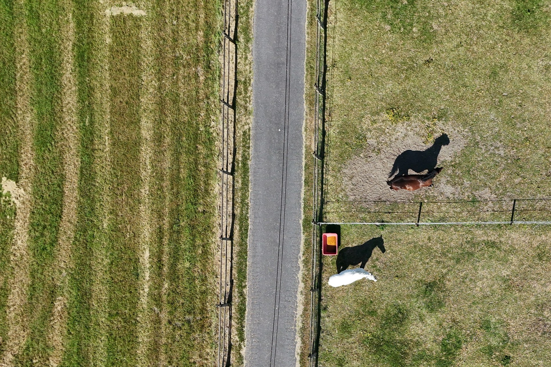 Een buitenkans voor paardenliefhebbers - foto 3