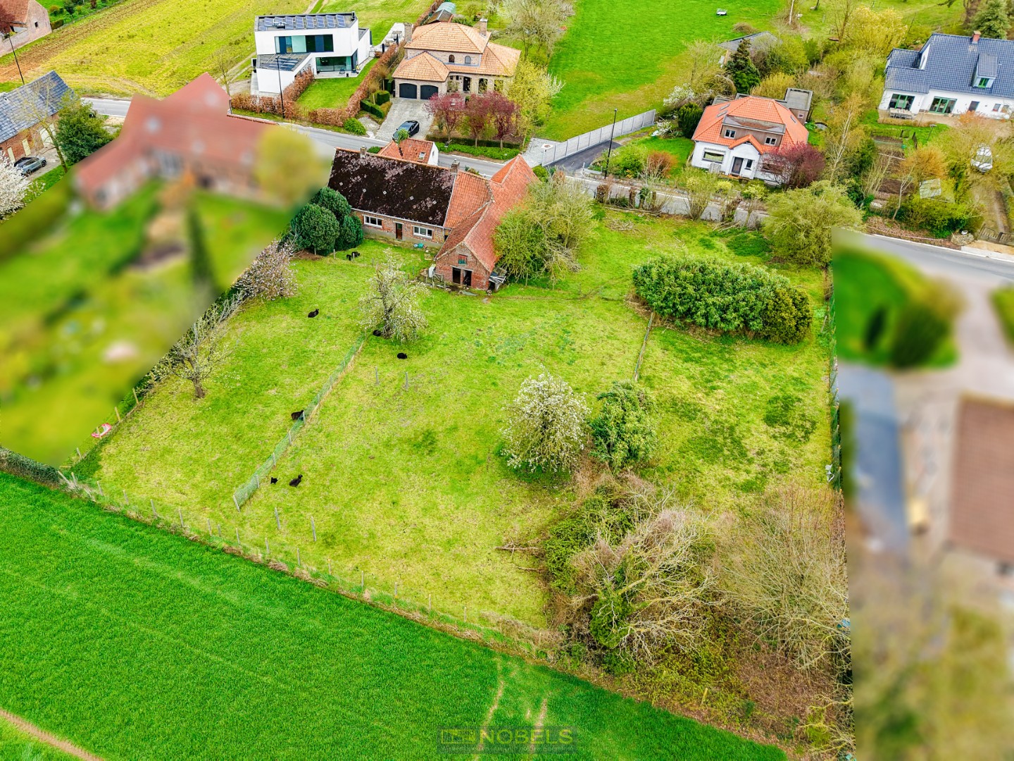 Te koop, rustig gelegen bouwgrond (631m²) in het groene Horebeke - foto 4