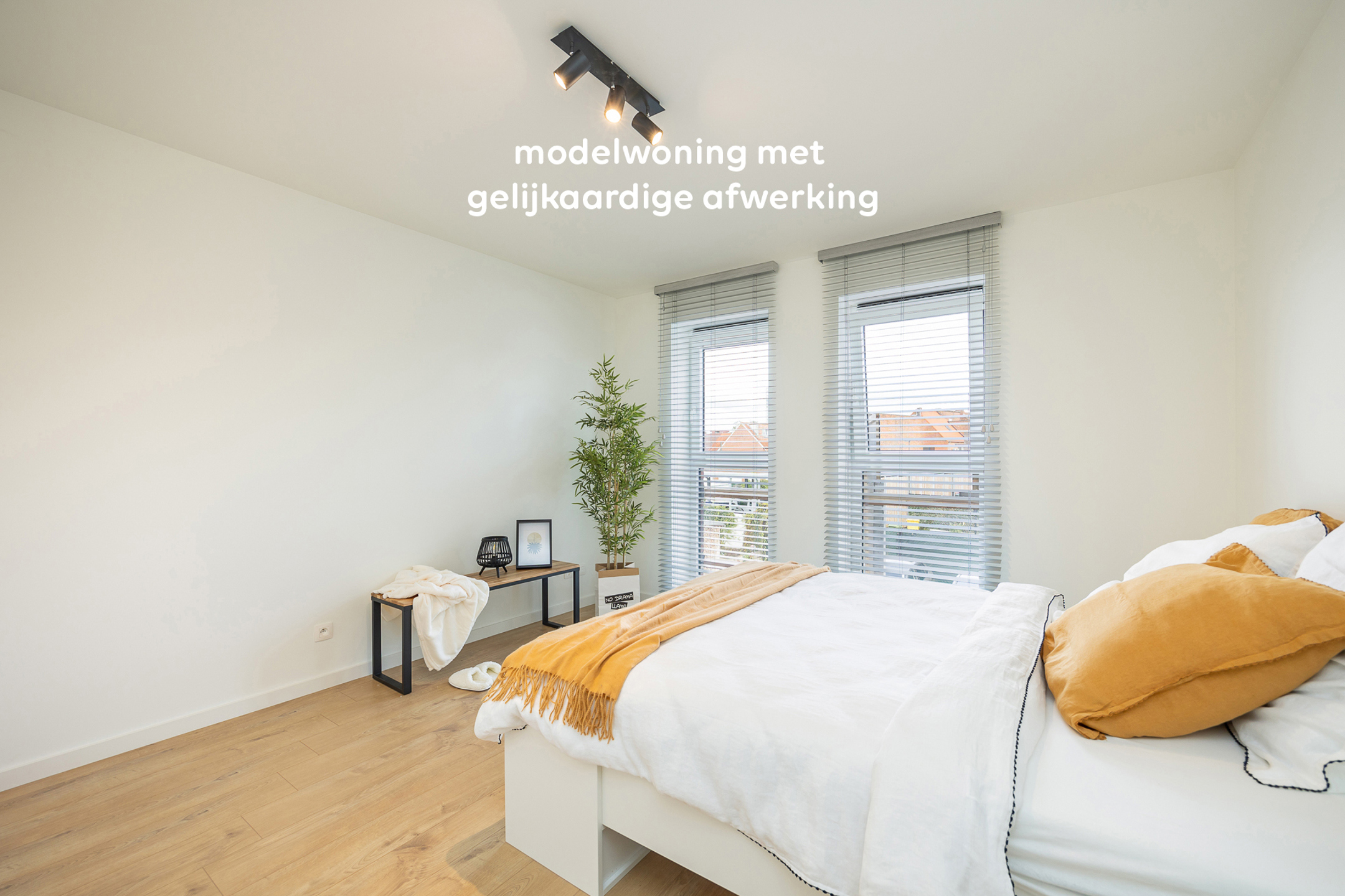 Project te koop in Zoersel - foto 4