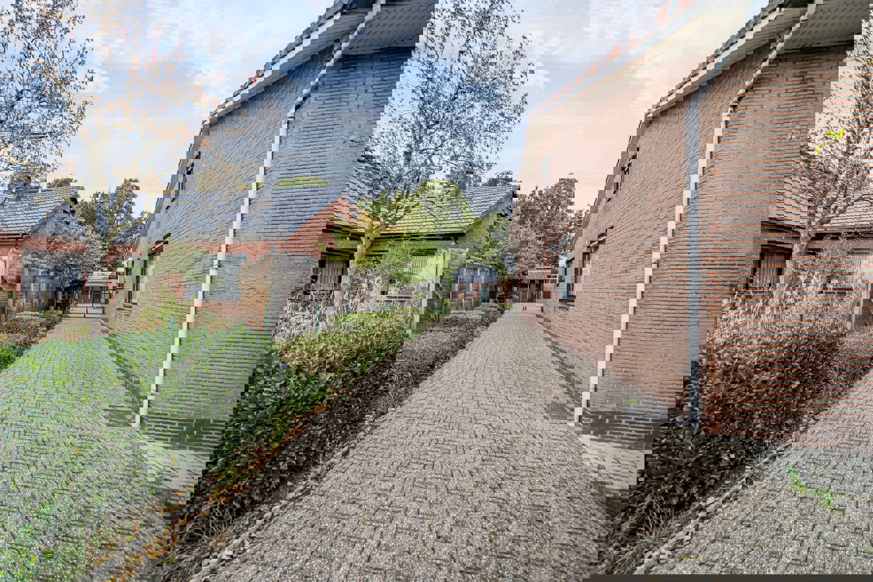 Maison à vendre à Westerlo avec 5 chambres - photo 5