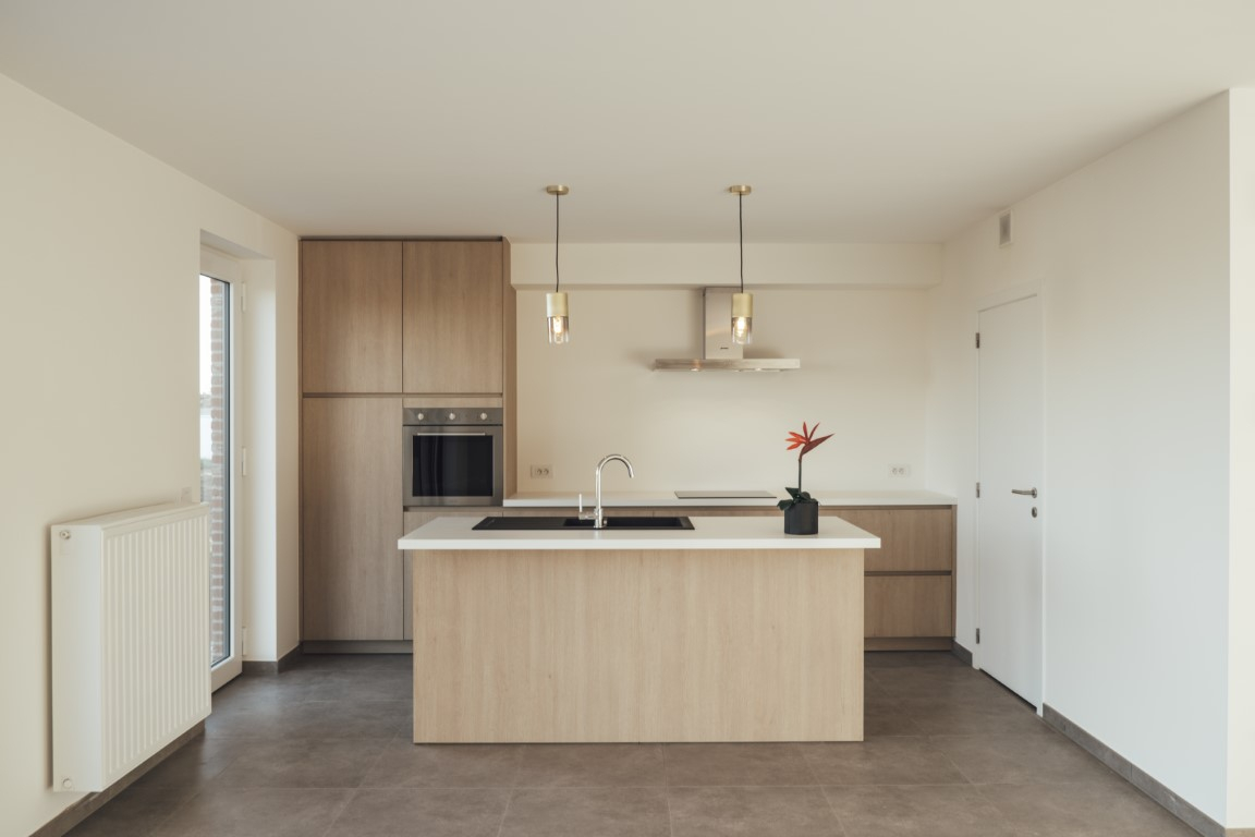 Project te koop in Estaimbourg - foto 4