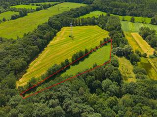 Goed gelegen grond te koop in Geel
Deze percelen zijn bereikbaar langs een weg en bestaan uit 8400m².
De gronden zijn niet verpacht.
Voor meer informatie neem contact op met ons kantoor.