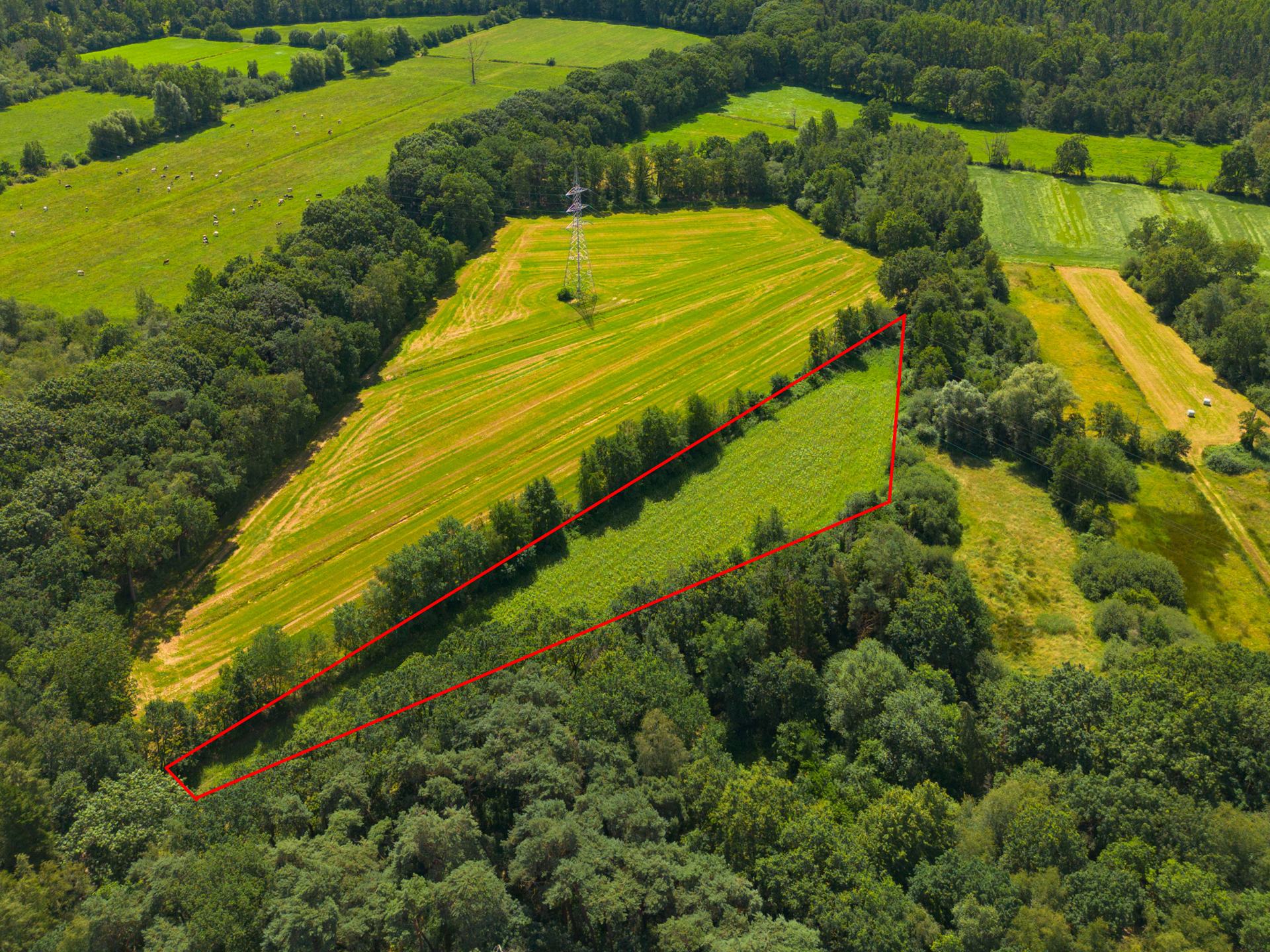 Grond te koop in Geel - foto 1