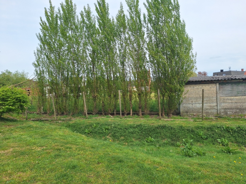 Vrij te bouwen woning in Lochristi - foto 4