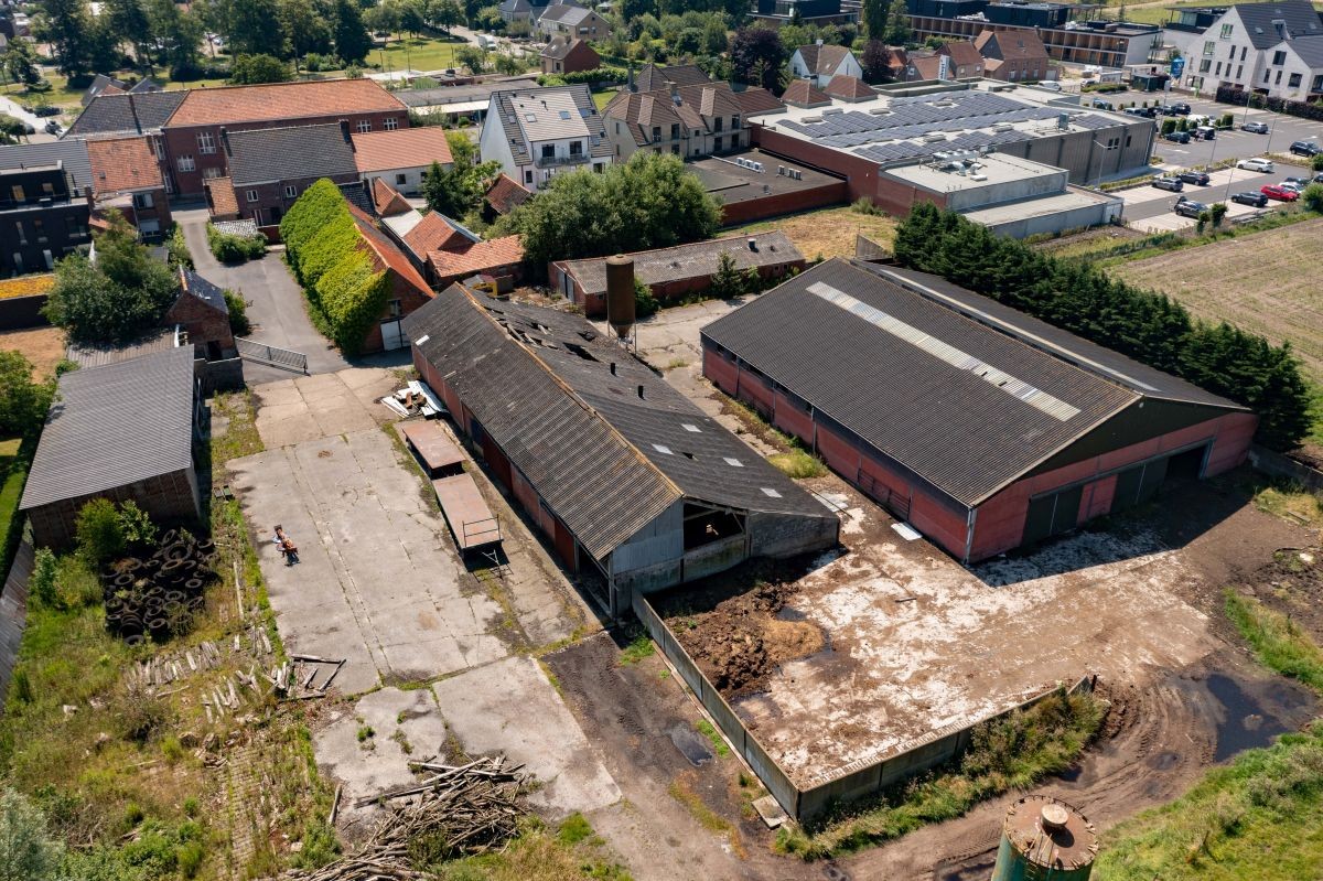 Land for sale in Zedelgem - photo 5