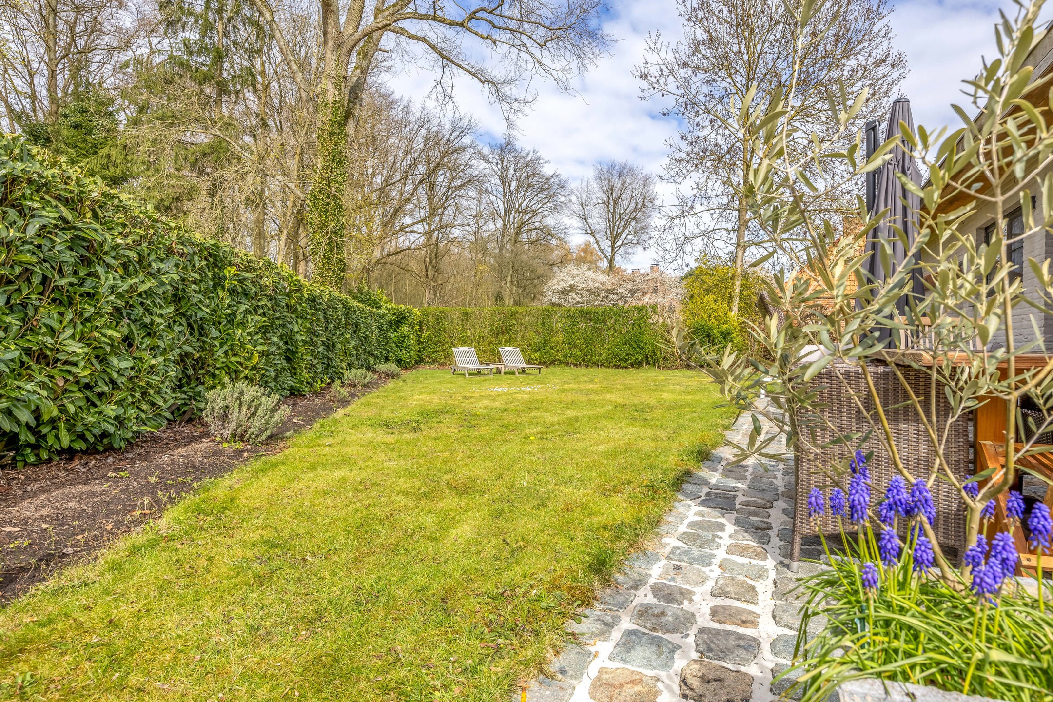 Instapklare gelijkvloerse woning bij kasteel ’s-Gravenwezel - foto 5