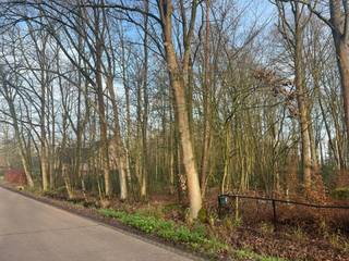 Terrain à vendre à Zoersel