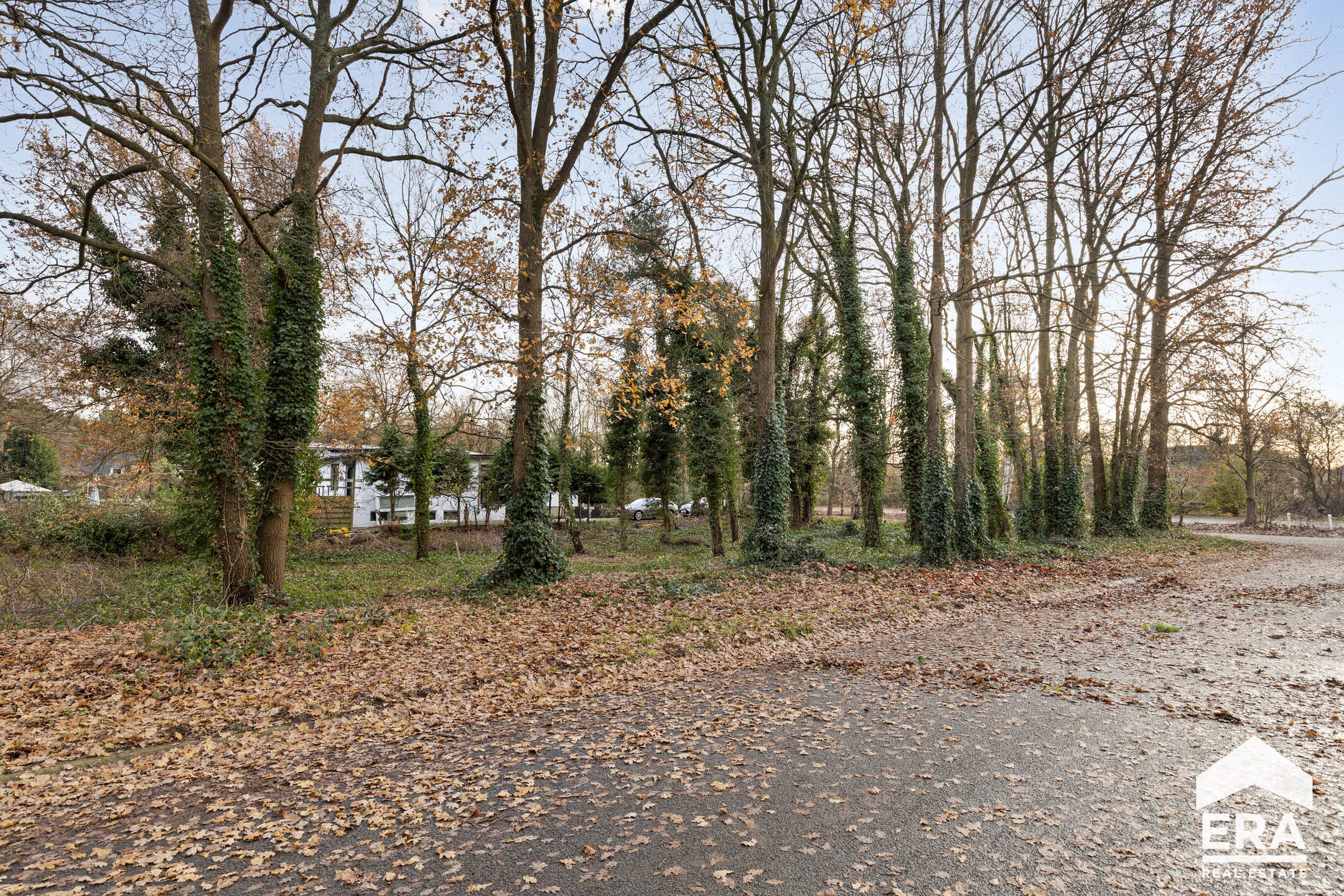 Terrain à vendre à Lommel - photo 4