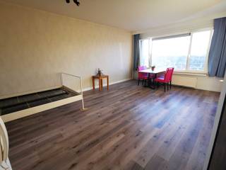 Gerenoveerde studio met uitzicht over Antwerpen, gelegen vlak aan het Groen Kwartier:Deze lichtrijke studio van 40 m² is gelegen op de 8e verdieping...