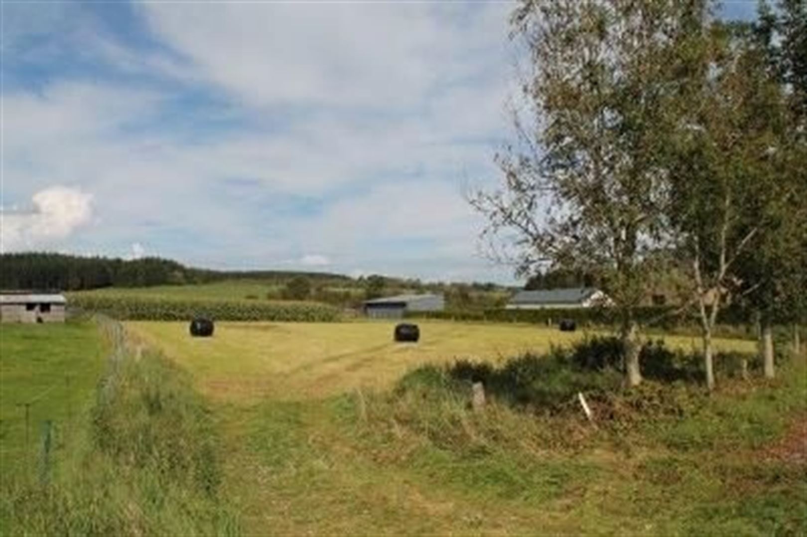 Terrain à vendre à Gedinne - photo 2