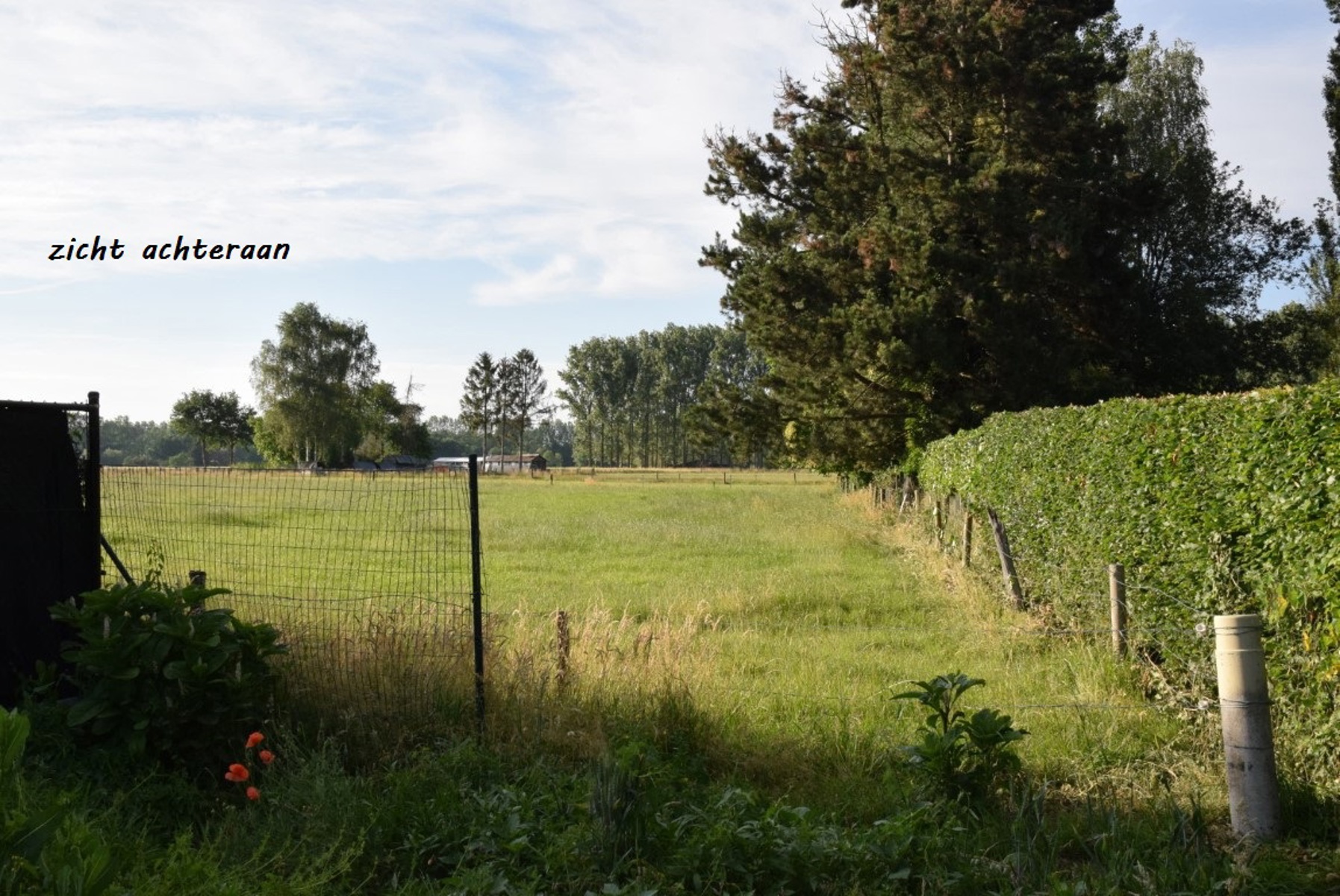 Energiezuinige woning in Lippelo – Lot 1 - foto 3