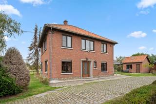 <p>Deze ruime gezinswoning met schuur en bijgebouwen op een perceel van ca. 17.290m² in het Waasland, biedt een uitzonderlijke kans voor wie een landelijk woonproject wil realiseren. Dankzij de ideale ligging zijn de E34 en E17 makkelijk bereikbaar, wat een vlotte verbinding biedt naar Gent en Antwerpen. Dit maakt het domein perfect voor wie landelijk wil wonen zonder aan bereikbaarheid in te boeten.</p><p> </p><p>De woning heeft op het gelijkvloers een keuken, een grote leef- en eetruimte, een achterinkom en een badkamer. Op de eerste verdieping bevindt zich de nachthal waarop 5 slaapkamers uitgeven. De zolderverdieping is bereikbaar via een luik en kan dienen als extra opslagruimte. Verder is er nog een kelder.</p><p> </p><p>Het perceel laat toe om een nieuwe zonevreemde woning op te richten met een maximaal leefvolume van 1.000m³ bovengronds.</p><p> </p><p>Door het ruime perceel weiland, rond de gebouwen, is deze eigendom uiterst geschikt om dieren te houden zoals paarden.</p><p> </p><p>De aanwezige schuur kan gerenoveerd worden en bijvoorbeeld dienen als paardenstal of opslag. Hetzelfde geldt voor de overige bijgebouwen.</p><p> </p><p>Dit is een unieke kans om een ruime woning en bijgebouwen volledig te renoveren of te vervangen door nieuwbouw, op een schitterend, landelijk gelegen perceel met voldoende ruimte voor paarden of andere buitenactiviteiten.<span></span></p><p><span></span></p>
