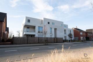 <p><span>Stijlvol en energiezuinig nieuwbouwappartement in Pulderbos.</span></p><p><span>In een rustige en mooie omgeving in Pulderbos bevindt zich dit prachtige nieuwbouwappartement, waar comfort, luxe en energiezuinig wonen perfect samenkomen.</span></p><p><span>Het appartement beschikt over een ruime slaapkamer met dressing / bureel en een zeer royale badkamer met een moderne inloopdouche en lavabo. </span></p><p><span>De luxueuze open keuken, volledig uitgerust met kwaliteitsvolle toestellen, vormt het hart van de leefruimte.</span></p><p><span>Het volledige appartement is afgewerkt met een strakke tegelvloer en aangename vloerverwarming, wat zorgt voor een tijdloze uitstraling en optimaal wooncomfort. </span></p><p><span>Verder is er een praktische berging met aansluiting wasmachine en droger alsook een apart toilet.</span></p><p><span>Aan de voorzijde geniet u van een inpandig terras, terwijl de grote gemeenschappelijke tuin achteraan een oase van rust biedt. De dubbele carport met laadpaal en de kelderberging zorgen voor extra gemak.</span></p><p><span>Dankzij de warmtepomp, vloerverwarming, ventilatiesysteem, 5 zonnepanelen en sunscreens is dit appartement bijzonder energiezuinig. </span></p><p><span>Een super goed gelegen en instapklaar appartement waar kwaliteit en woonplezier centraal staan.</span></p><p><span> </span></p><p><span>Vaste kosten €100 per maand.</span></p><p><span> </span></p><p><span>Onmiddellijk beschikbaar. </span></p><p><span> </span></p><p><span>Bel of mail ons voor een bezoekje.</span></p>