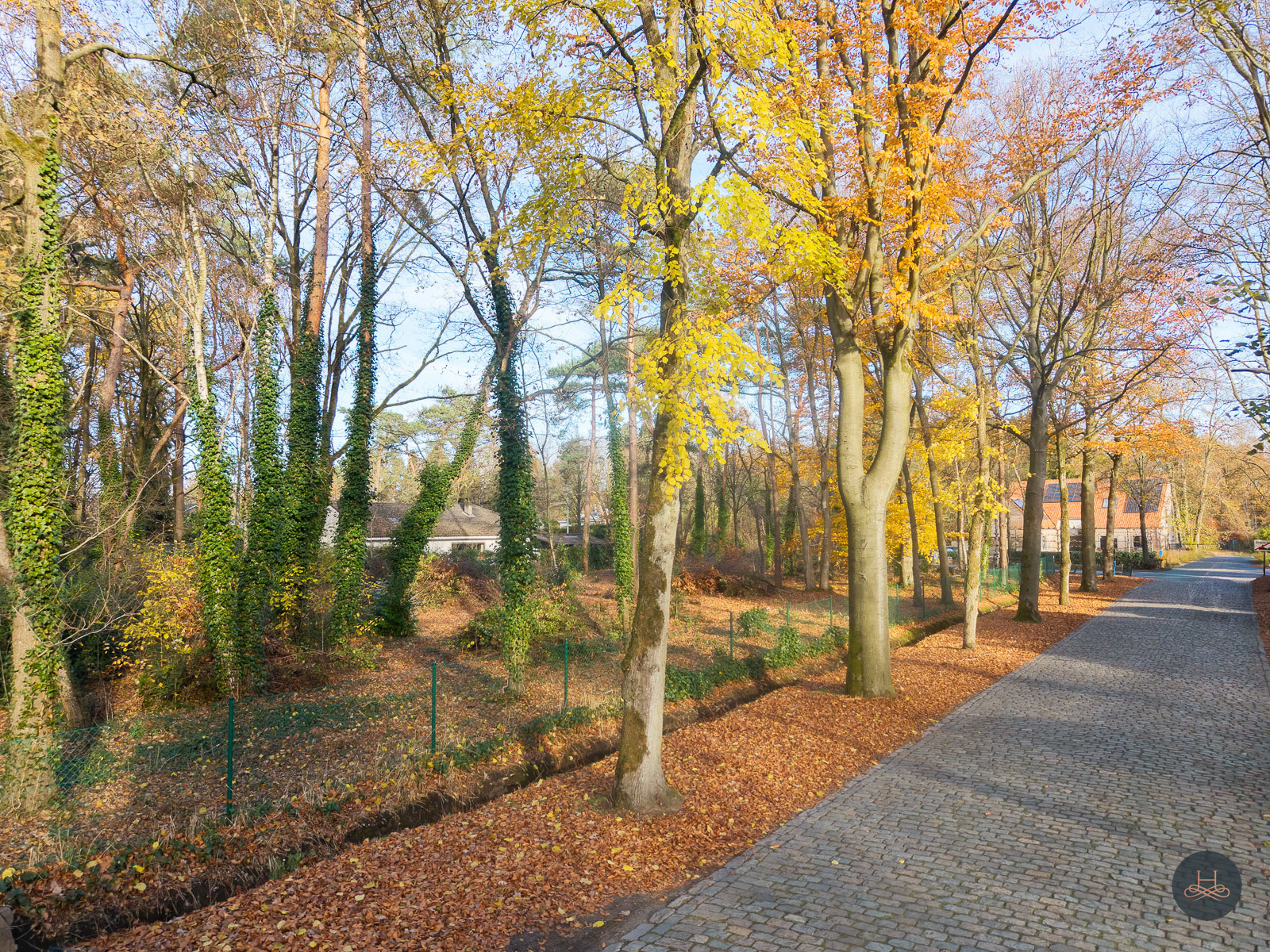 Uitzonderlijke bouwgrond voor open bebouwing in prestigieuze villawijk te Brasschaat - foto 4