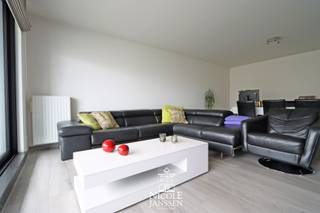 Apartment for rent in Bree
