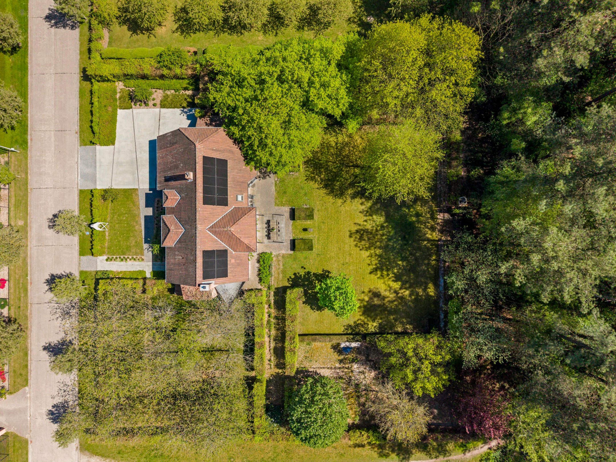 Tijdloze villa met groen uitzicht op +/- 2.750 m² te Lichtaart! - foto 5