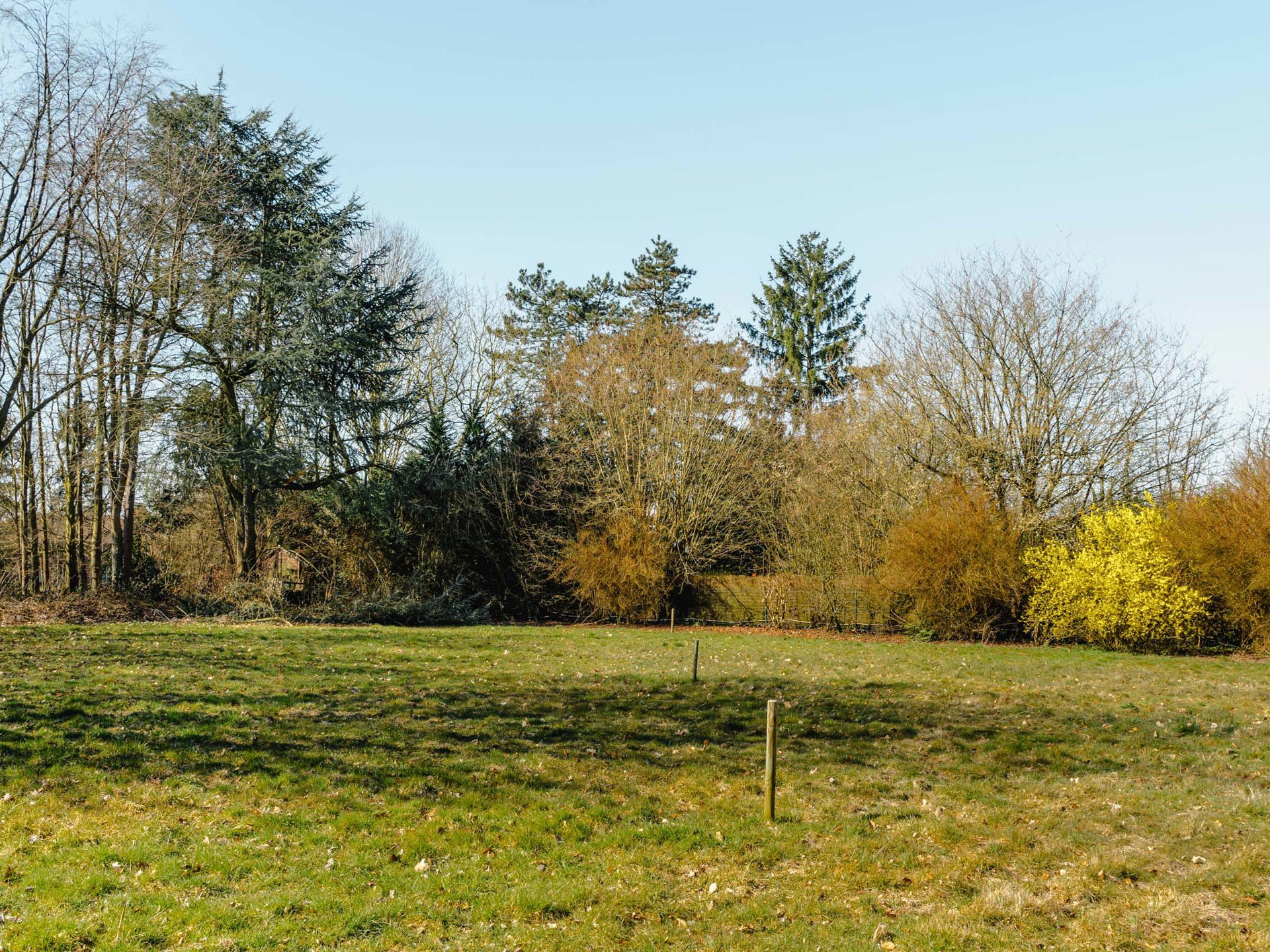 Land for sale in Lasne-Chapelle-Saint-Lambert - photo 2