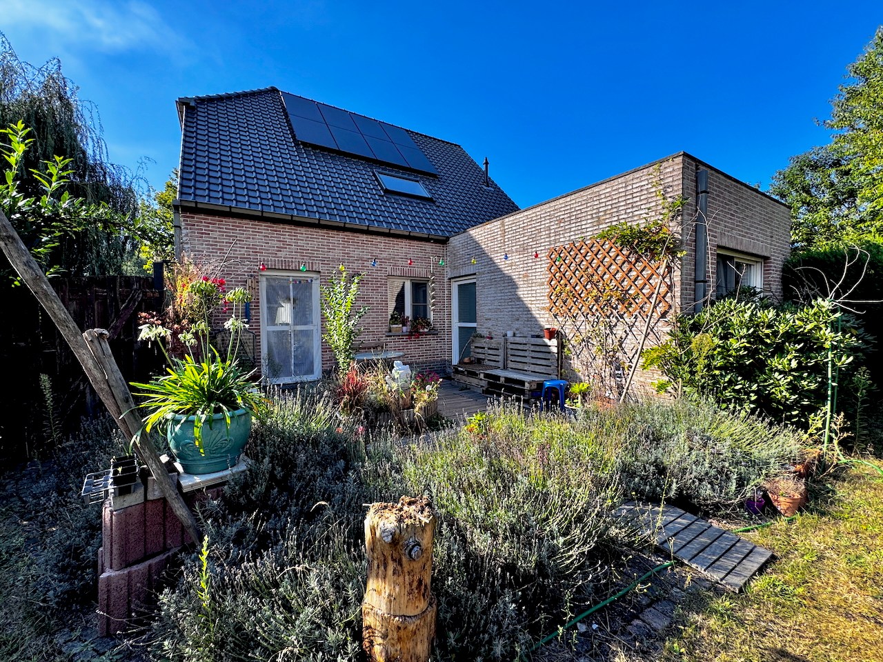 House for sale in Moerbeke with 3 bedrooms - photo 3