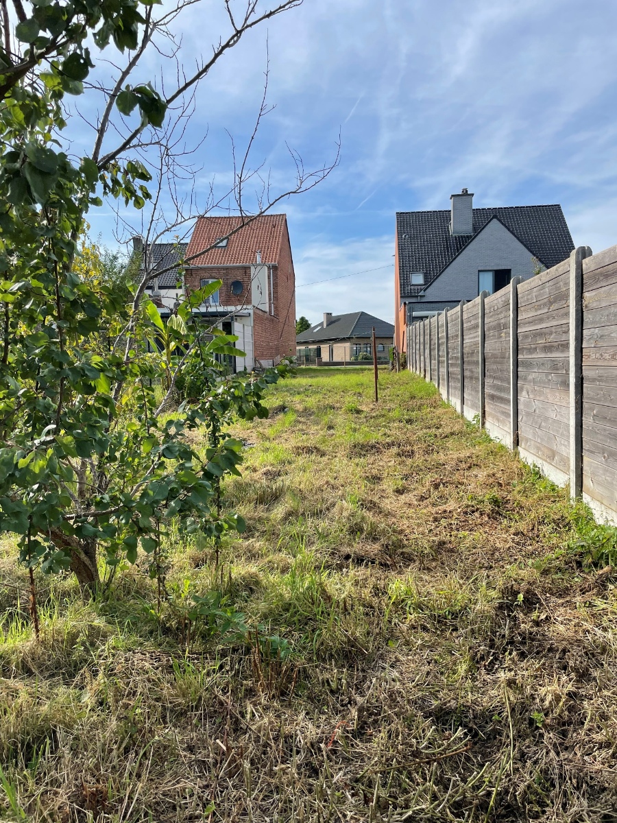 Land for sale in Bornem - photo 1