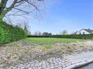Dit perceel paart een residentieel, groen karakter aan een uitstekende bereikbaarheid.Volgens de huidige verkavelingsvoorschriften is het...